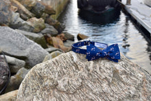 Load image into Gallery viewer, Navy Blue and Pink Cape Cod and the Islands &quot;Twill&quot; Bow Tie- 100% Silk
